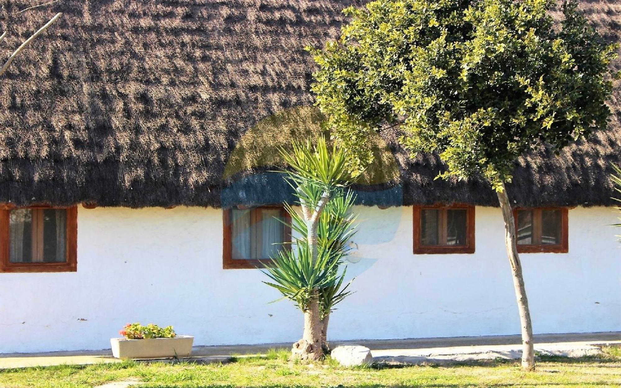 Barraca Tipica Del Delta, Con Piscina, Jardin Y Barbacoa - Deltavacaciones Villa Sant Jaume d'Enveja Exterior foto